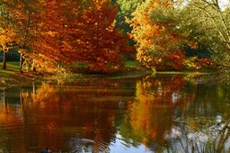 Bild 033