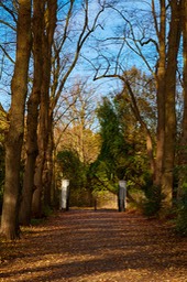 Bild 046
