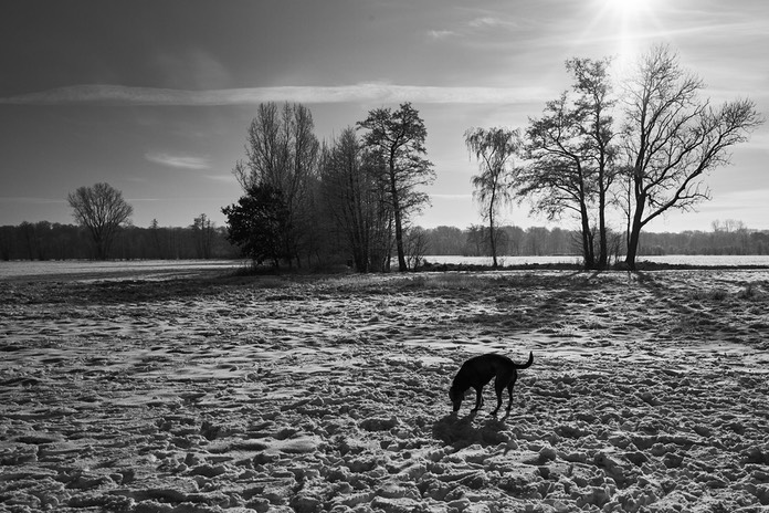 Bild 071